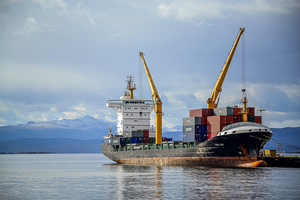 ship, cranes, loading, dock, port, pier, machinery, heavy machinery, cargo, cargo ship, shipping, shipping industry, freight, freight transport, freight ship, sea, nature, ocean, water, travel, voyage, argentina, transport, transportation, infrastructure